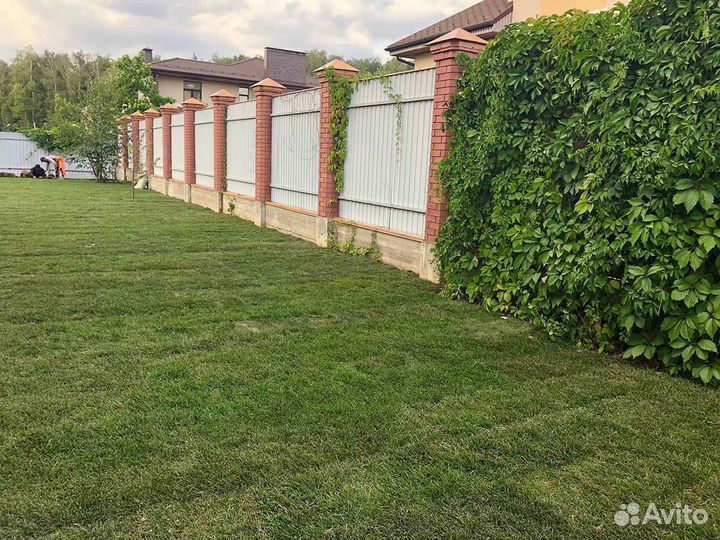 Рулонный газон напрямую от производителя