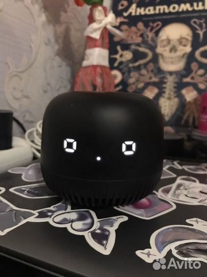 Vk капсула нео