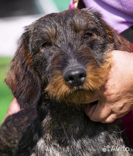 Ищем подружку