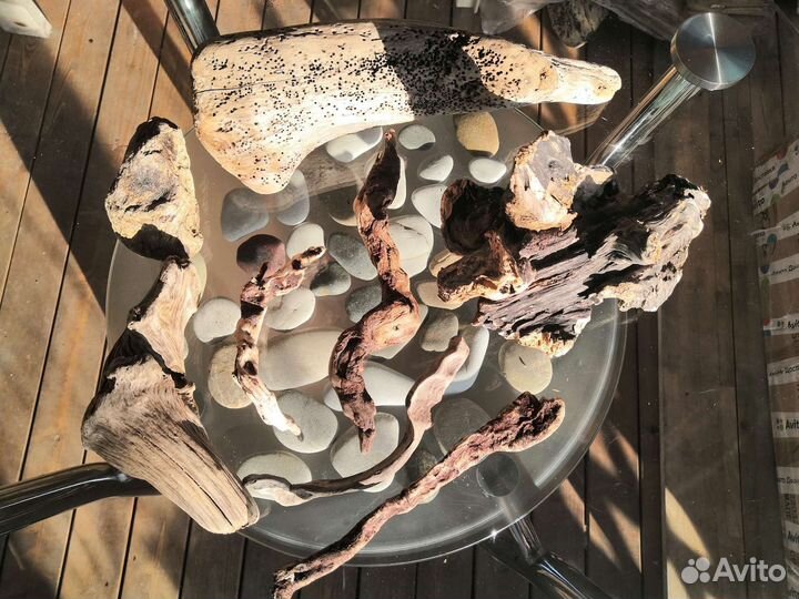 Морские коряги, seawood, плавник, дерево