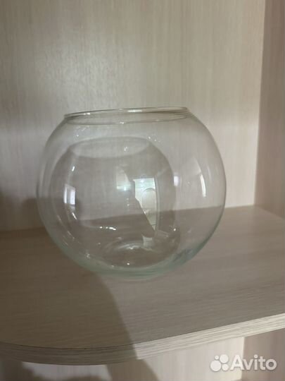 Акавриум для петушка