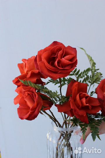 Вывернутые розы