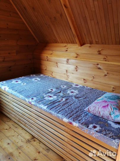 Сон на пчелах (Апидомик)