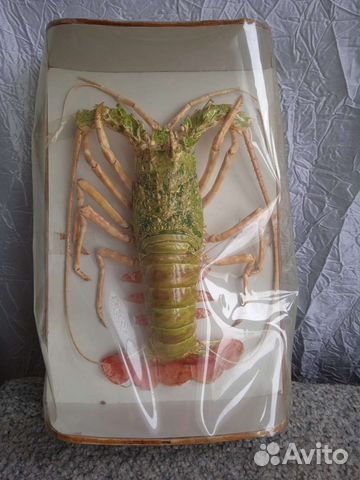 Омар (Рак )с сюрпризом