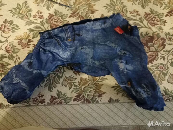 Дождевик для маленькой собаки