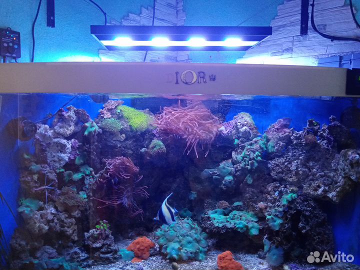 Лампа Led Vertex 126 см