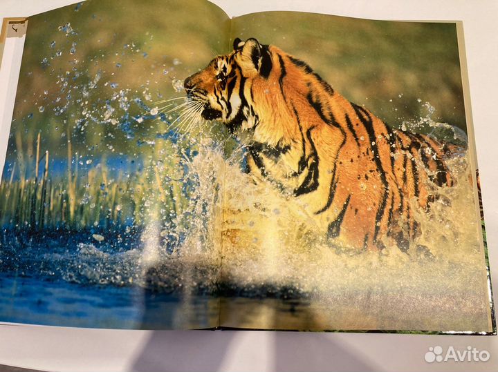 Энциклопедия животных (комплект из 38 книг)