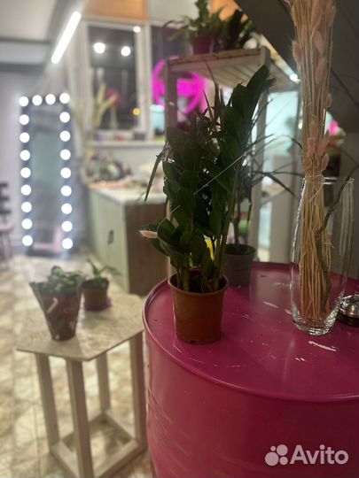 Цветочный магазин