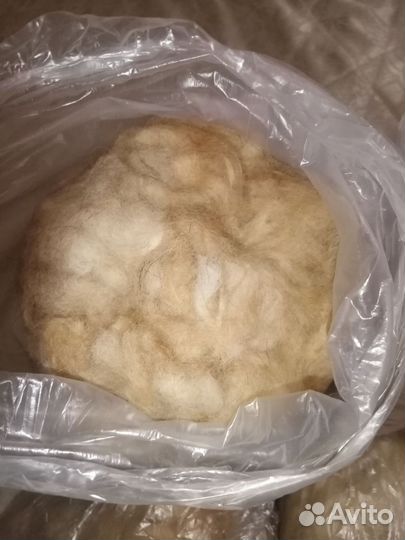 Собачья шерсть пух