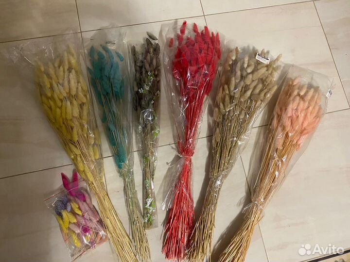 Сухоцветы, хлопок, лагурус