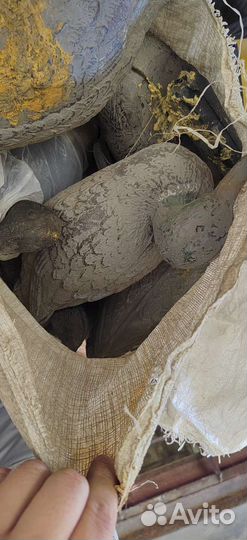 Утки подсадные для охоты