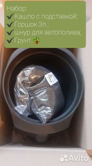 Кашпо 3л с горшком и землёй