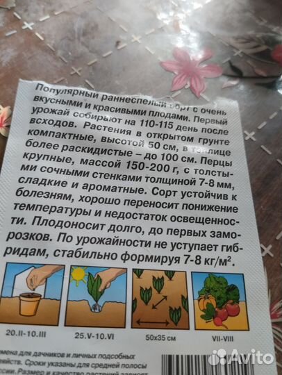 Рассада перца и баклажан