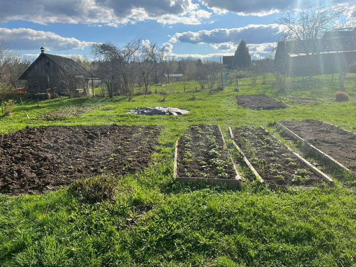 Дом 40 м² на участке 18 сот.