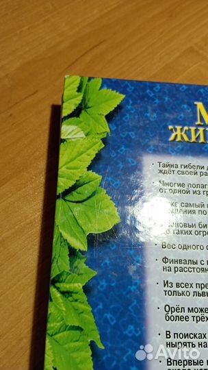 Мир животных (сборник ооо 