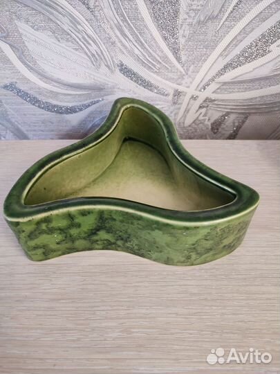 Кактусница