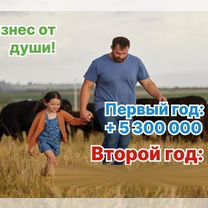 Сельскохозяйственное агентство в городе Ставрополь, Ставрополь