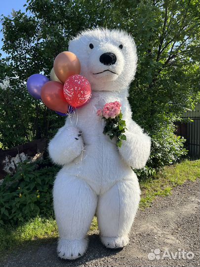 Белый мишка поздравление