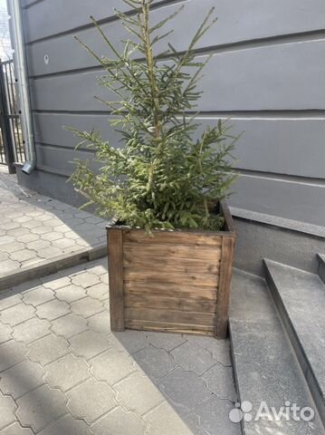 Деревяный ящик