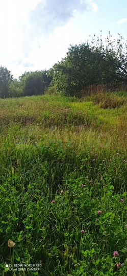 Участок 75 сот. (ИЖС)