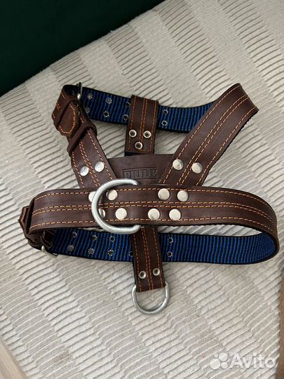 Шляйка для собак