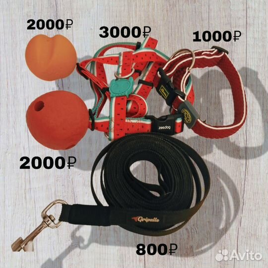 Вещи доя собаки