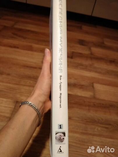 Комикс Y последний мужчина