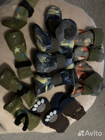 Обувь для собачек