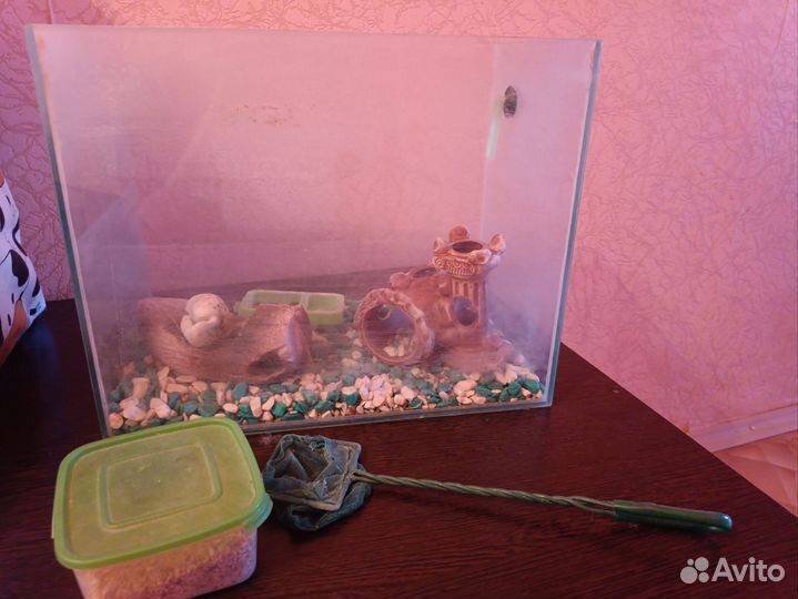 Аквариум