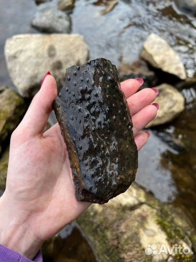 Москва Топ-Экскурсия На раскопки с палеонтологом: