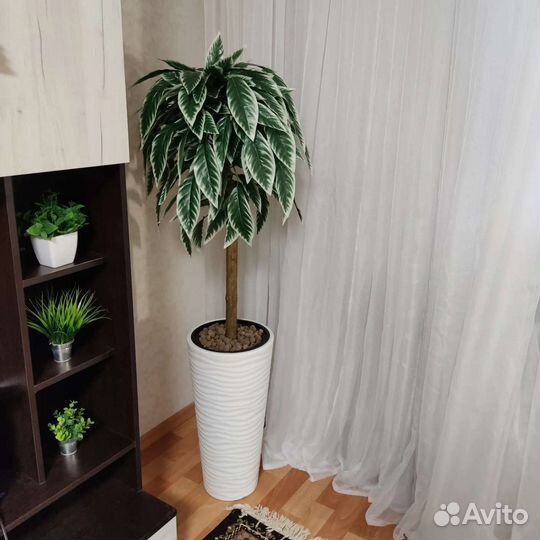 Искусственные деревья фикус, манго, ива, черешня