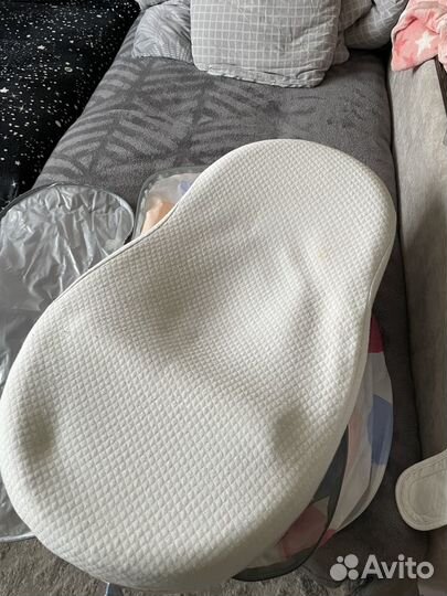 Кокон Зевушка