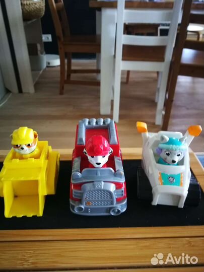 Крепыш Маршал Эверест