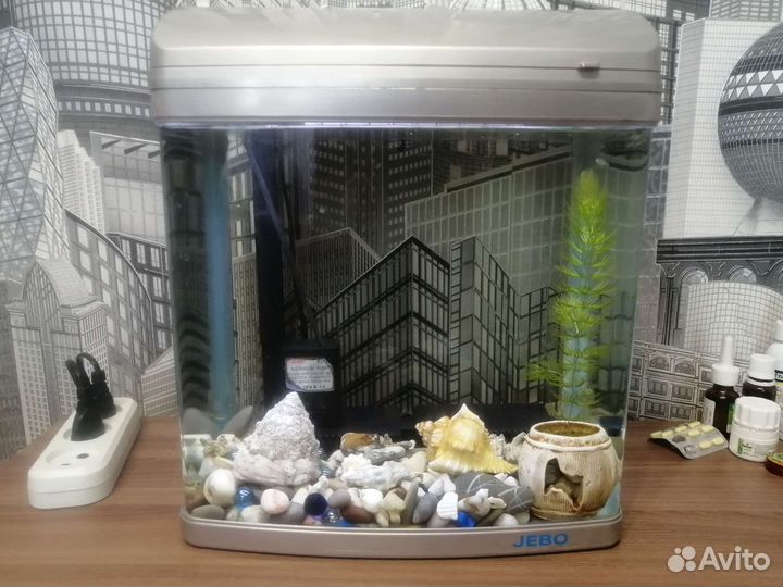 Аквариум с рыбками