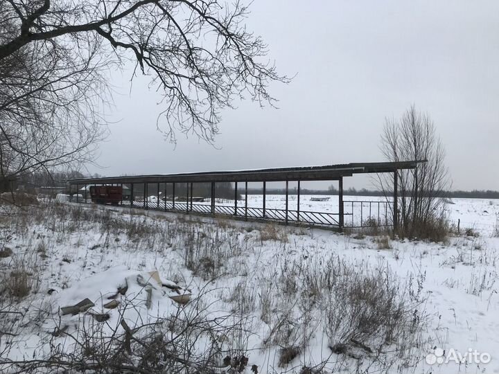 Крестьянское фермерское хозяйство, кфх