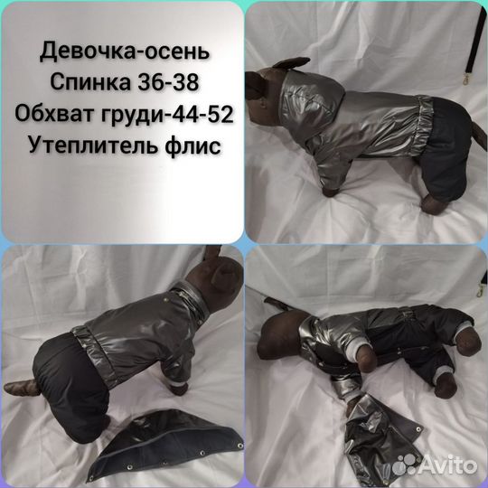 Одежда для собак, животных