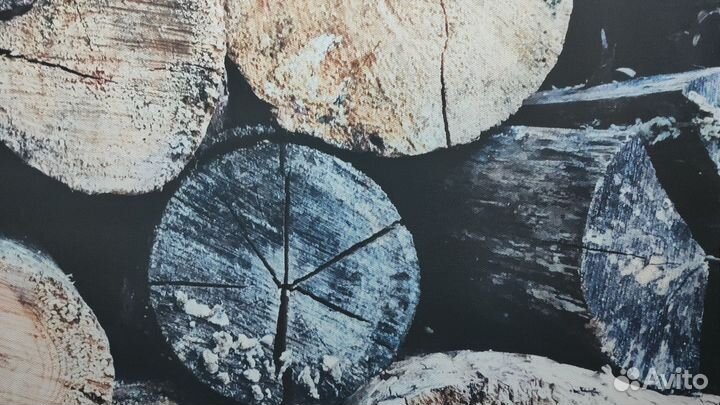 Постер Спил дерева