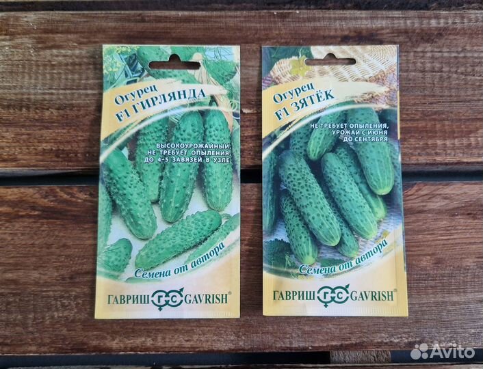 Семена Огурцов №5