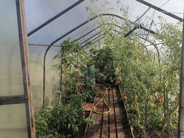 Дача 54 м² на участке 13 сот.