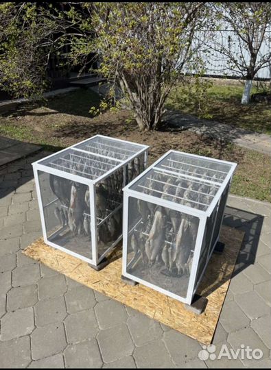 Сушилка для рыбы