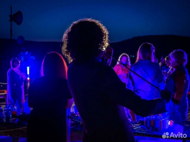 Живая музыка, скрипка