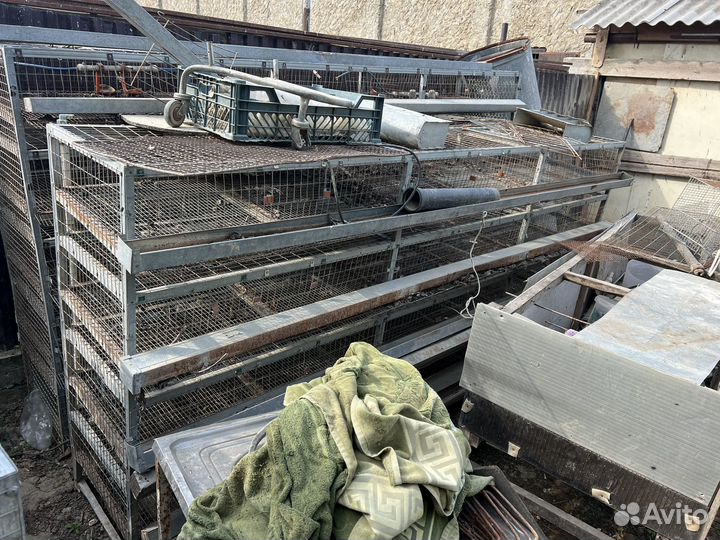 Сетка для перепелов