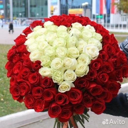 Букет из 65 роз Цветы Красноярск