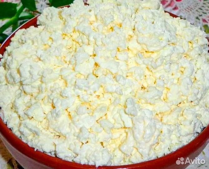 Домашний творог молоко сыр