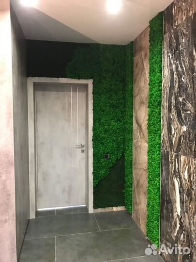 Мох стабилизированный оптом и в розницу