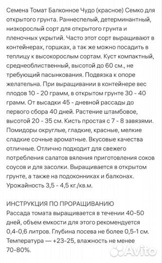 Рассада помидор балконное чудо
