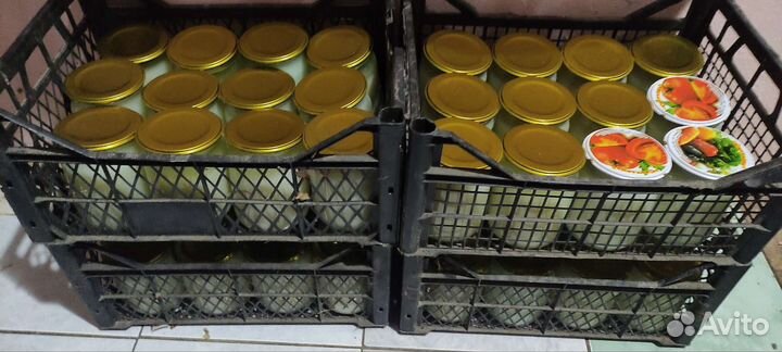 Барсучий жир