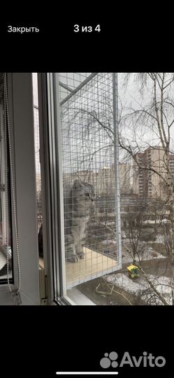 Балкон на окно для кошек, балкон для выгула