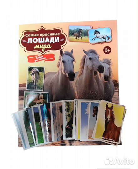 Наклейки Самые красивые лошади Panini