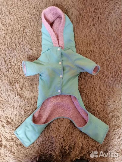 Одежда для собак мелких пород